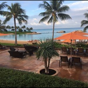 Meet your Posher, Celeste